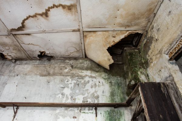 Water Damage Service in Milford