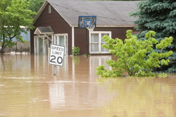 Storm Restoration Service in Milford
