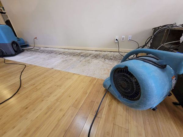 Water Damage Mitigation in Milford