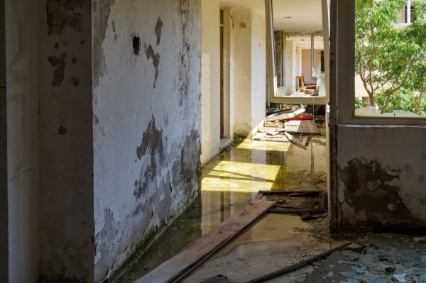 Cost of Water Removal Service in Milford
