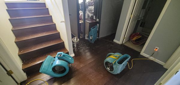Water Damage Remediation in Milford