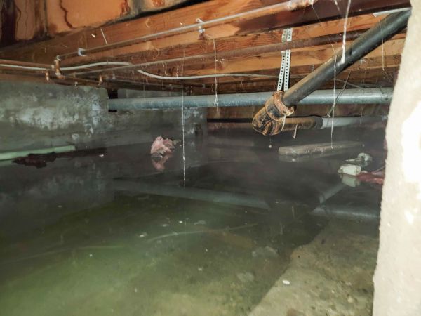 Water Mitigation Service in Milford