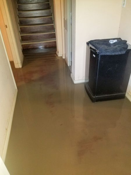 Cost of Emergency Water Removal in Milford